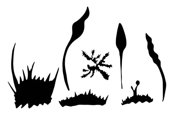 Set of Vector grass and plant silhouettes. Vector hand drawn illustration on a white background. — 스톡 벡터