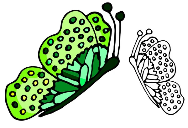 Farfalle colorate e disegno a mano. Scarabocchio vettoriale delineato su uno sfondo bianco . — Vettoriale Stock