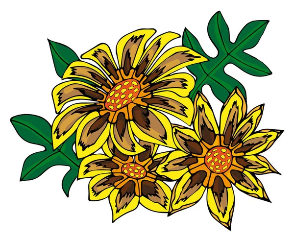 Bela mão desenhada flores de gazânia. Vector doodle isolado em backgound branco . — Vetor de Stock