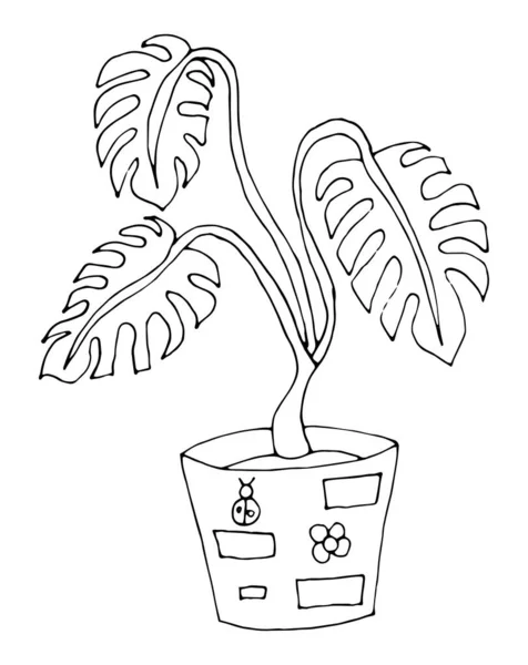 Monstera Topfpflanze. handgezeichnete Illustration auf weißem Hintergrund, zum Ausmalen. — Stockvektor