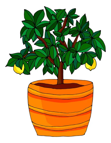 Citroenboom in een kleurrijke en mooie pot. Handgetekende illustratie op een witte achtergrond. — Stockvector