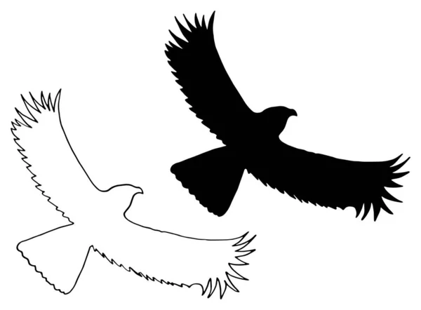 Águia voadora em um fundo de céu claro. Tinta escura logotipo desenhado à mão no estilo de arte de gravura vintage estilo gráfico . — Vetor de Stock