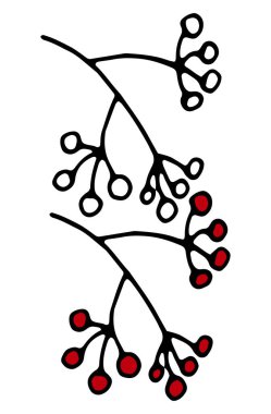 hand-drawn in graphic black and white minimal style branch with rowan berries on a white background isolated for use in design