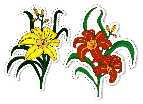 Красная лилия и желтая лилия с бутонами изолированы на белом фоне. Векторная иллюстрация . — стоковый вектор