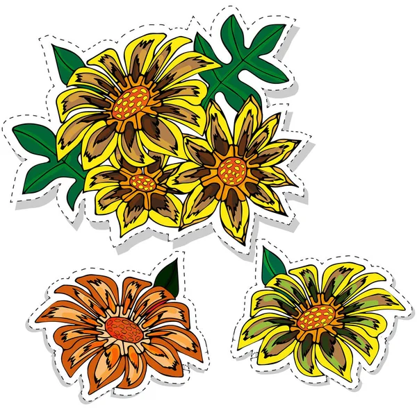 Güzel el çizimi Gazania çiçekleri. Vektör çizimi beyaz arkaplanda izole edildi. Tasarım etiketleri.