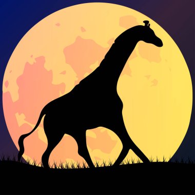 Gece, dolunay ve gece gökyüzünde vahşi yaşam ile Afrika manzarasının vektör çizimi.
