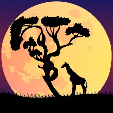 Gece, dolunay ve gece gökyüzünde vahşi yaşam ile Afrika manzarasının vektör çizimi.