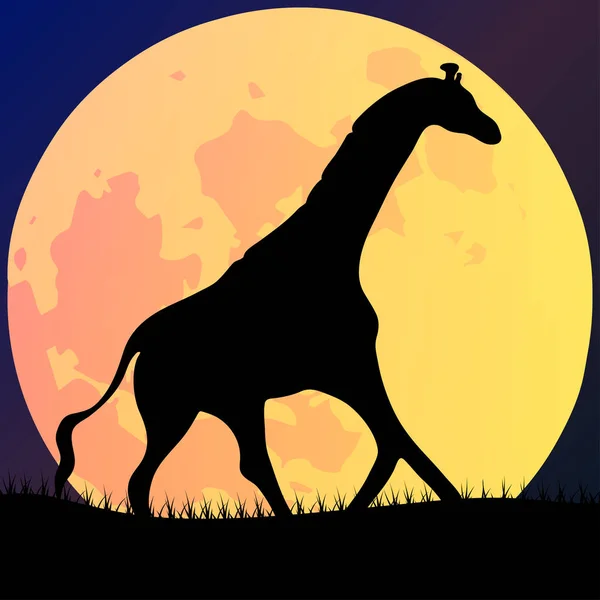Gece, dolunay ve gece gökyüzünde vahşi yaşam ile Afrika manzarasının vektör çizimi.