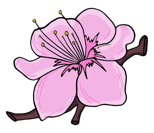 Вишневые Ветви Ручной Работы Красочными Цветами Силуэт Растения Сакура Белом — стоковый вектор