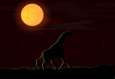 Bir gece sahnesinde vahşi yaşam olan Afrika manzarasının vektör çizimi, dolunay ve gece gökyüzü. Ay 'ın arka planında zürafa. Safari teması.