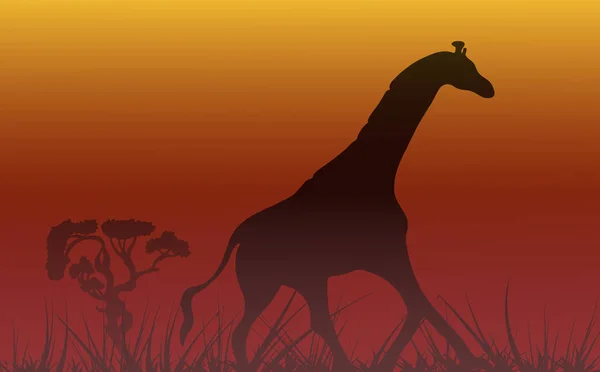 Çimlerin üzerinde şirin bir zürafa silueti olan Afrika manzara çizimi. Seyahat ya da safari afişi, poster tasarımı, masaüstü için kullanılabilir.