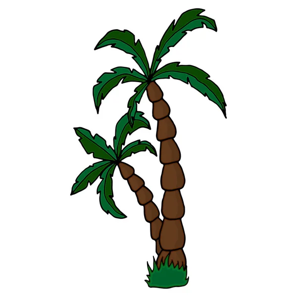 约会棕榈 病媒手绘棕榈树 手绘插图 — 图库矢量图片
