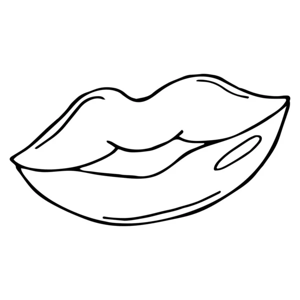 Сексуальные Пухлые Губы Поцелуй Изолированные Линии Искусства Рисованные Вручную Иллюстрации — стоковый вектор