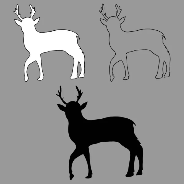 Contour Vectoriel Graphique Silhouette Blanche Noire Jeune Cerf Isolé Sur — Image vectorielle