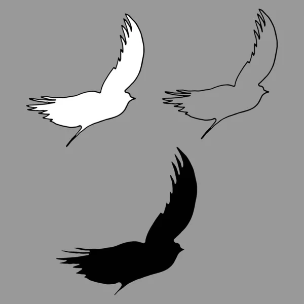 Силует Птахів Чорні Контури Літаючих Птахів Векторні Ілюстрації Татуювання Ізольовані — стоковий вектор
