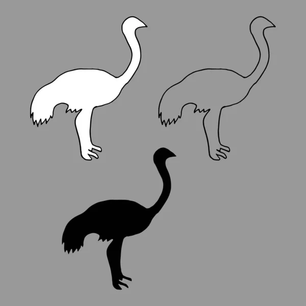 Vektorová Ilustrace Černobílá Silueta Pštrosa Obrys Ptáka Izolovaného Bílém Pozadí — Stockový vektor