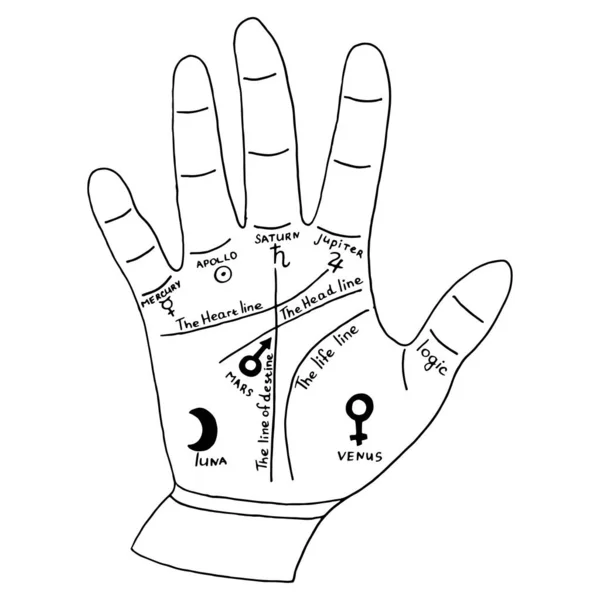 Mano Para Palmist Tarjeta Lectura Palma Ilustración Dibujada Mano Vectorial — Vector de stock