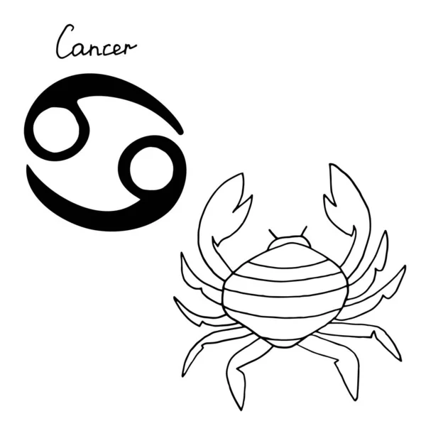 Segno Zodiacale Cancro Illustrazione Disegnata Mano Vettoriale Isolata Sfondo Bianco — Vettoriale Stock