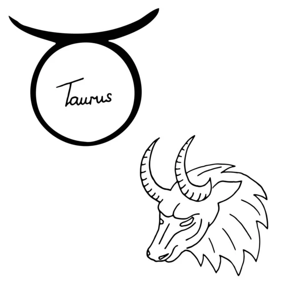 Zodiac Sign Taurus Vector Illustration Isolated White Background Suitable Tattoo — Stock Vector