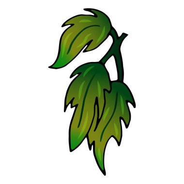 Vektör botanik çizimi. Çizgi izi. Beyaz arka planda yaprakları olan renkli bir dal. Dövme, tasarım, tişört, marka logosu, rozet, basılı bardak, kartlar için elverişli.