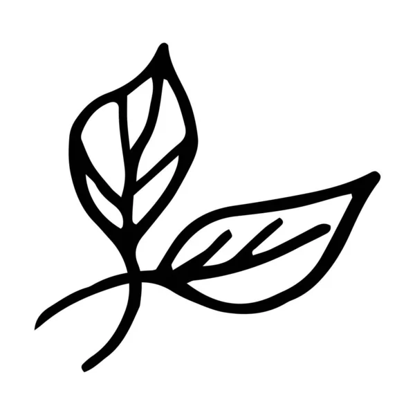 Blumenzeichnung Vector Handgezeichnete Doodle Illustration Isoliert Auf Weißem Hintergrund Vector — Stockvektor