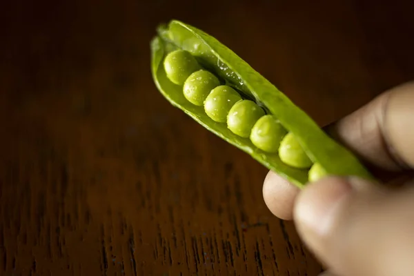 新鲜绿豆 人手中有豆荚 有选择地集中在木制桌子上 — 图库照片