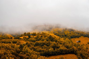 Moieciu de Jos, Brasov, Transilvanya ve Romanya 'da sonbahar panoramik bir orman manzarası