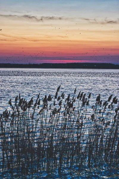 Schöner Sonnenuntergang Lacul Morii See Mit Vögeln Die Der Ferne — Stockfoto