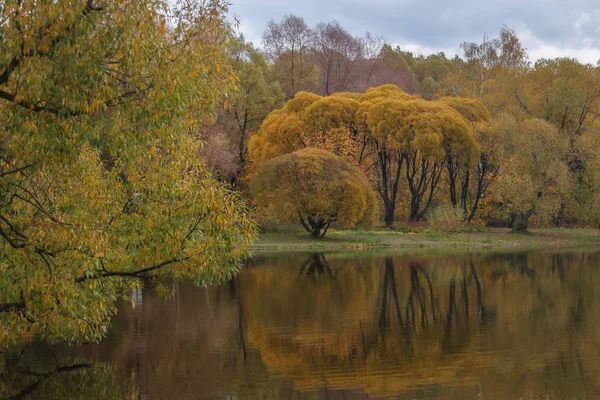 Photo taken in Moscow in October in the Park Pokrovskoe Streshnevo. It's still warm this time of year, but the leaves are already Golden. All these colors are beautifully reflected in the water.