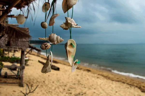 Κοχύλια Στην Παραλία Είναι Ιδανικά Επιπρόσθετα Κάθε Παράκτια Εικόνα Δεν — Φωτογραφία Αρχείου