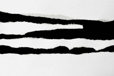 beyaz yırtılmış kağıt kenar dokusu / arkaplan