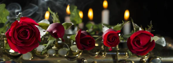 Rosa roja en fondo negro — Foto de Stock