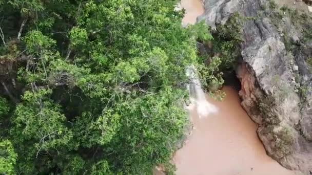 樹冠からの空中ドローン映像は ジャラバコア ドミニカ共和国の観光地であるバイゴテの滝をゆっくりと明らかにします — ストック動画