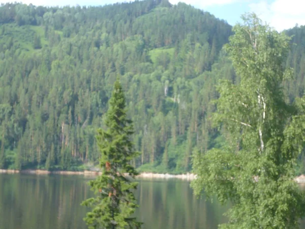 Paesaggio Estivo Con Montagne Alberi Siberia Natura Autunnale Siberia Fine — Foto Stock