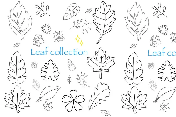 Vector multicolored and black and white.  leaves and petals with flowers, season summer, autumn, winter and spring.  summer landscapes and bitmap images.  Crippling pattern for children and kids room.