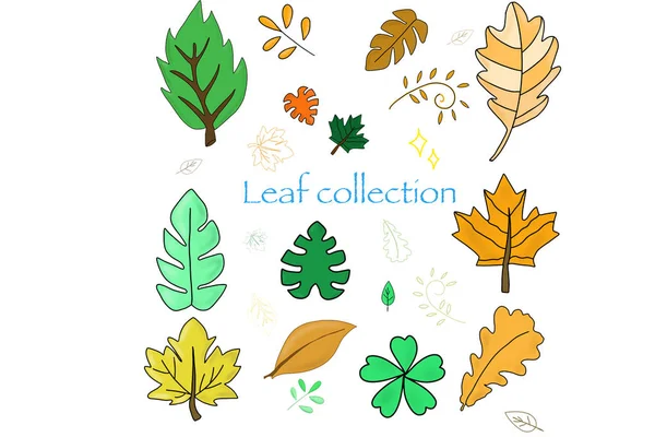 Vector multicolored and black and white.  leaves and petals with flowers, season summer, autumn, winter and spring.  summer landscapes and bitmap images.  Crippling pattern for children and kids room. Illustration and pattern vector.
