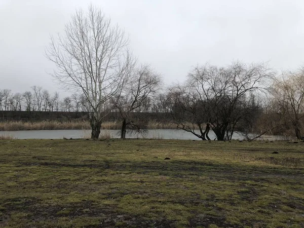 Vaftiz için hava durumu. Doğası gereği soğuk. Dışarısı soğuk. Doğanın manzarası. Nehir dondu. Çimler yeşil. Çimler kırmızı. Yapraksız ağaçlar. Sonbahar havası. Ağaç dalları. Şehir dışında hava durumu. Krasnodar 'da sonbahar.  