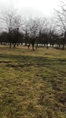 Vaftiz için hava durumu. Doğası gereği soğuk. Dışarısı soğuk. Doğanın manzarası. Nehir dondu. Çimler yeşil. Çimler kırmızı. Yapraksız ağaçlar. Sonbahar havası. Ağaç dalları. Şehir dışında hava durumu. Krasnodar 'da sonbahar.  
