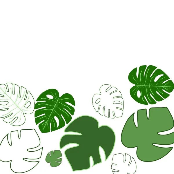 Leaves Drawing Drawing Leaves Tree Leaves Green Pattern Leaves Pattern — 스톡 사진