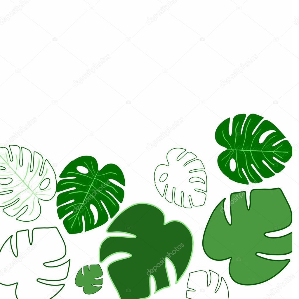 Leaves Drawing Drawing Leaves Tree Leaves Green Pattern Leaves Pattern Palm Tree Palm Leaves Green Drawing Leaf Picture Leaves For The Whole Background Leaves For Half The Picture Leaves With Holes Leaves Drawing Drawing Leaves Tree Leaves Green Pattern Leaves Pattern Palm Tree Palm Leaves Green Drawing Leaf Picture Leaves For The Whole Background Leaves For Half The Picture Leaves With Holes