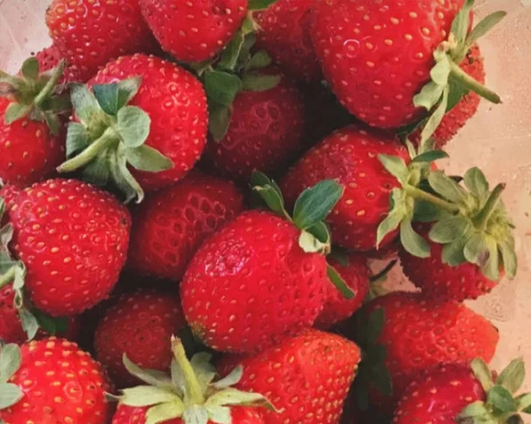 Große Rote Griechische Erdbeere Einem Teller Mixer Kochen Obst Grün — Stockfoto