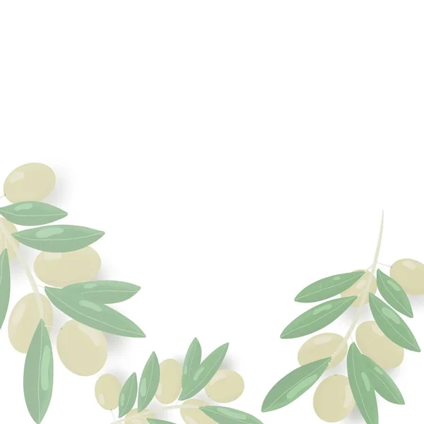 Оливки Гілці Оливкова Олія Кольорова Картина Гілка Листям Зелене Листя — стокове фото