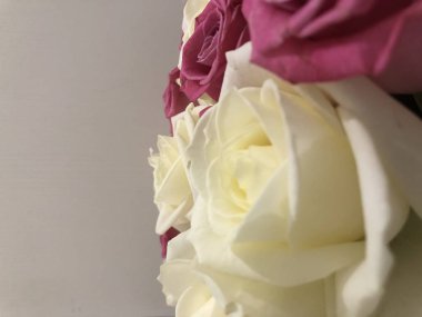 Bir buket gül. Pembe ve beyaz çiçekler. Bahar buketi. Kız arkadaşına hediye et. Bir kadın için çiçek seti. Yapraklı yeşil saplar. Kağıt üzerinde taze çiçekler ve bir vazo. Evdeki bitkiler. Beyaz ve parlak bir oda. Aşıklar günü. Sevgililer Günün kutlu olsun