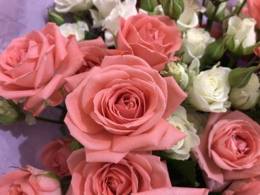 Bir buket gül. Pembe ve beyaz çiçekler. Bahar buketi. Kız arkadaşına hediye et. Bir kadın için çiçek seti. Yapraklı yeşil saplar. Kağıt üzerinde taze çiçekler ve bir vazo. Evdeki bitkiler. Beyaz ve parlak bir oda. Aşıklar günü. Sevgililer Günün kutlu olsun