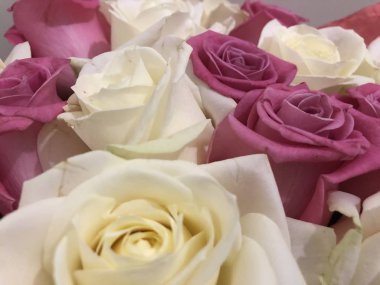 Bir buket gül. Pembe ve beyaz çiçekler. Bahar buketi. Kız arkadaşına hediye et. Bir kadın için çiçek seti. Yapraklı yeşil saplar. Kağıt üzerinde taze çiçekler ve bir vazo. Evdeki bitkiler. Beyaz ve parlak bir oda. Aşıklar günü. Sevgililer Günün kutlu olsun