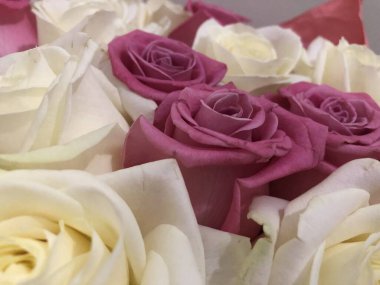 Bir buket gül. Pembe ve beyaz çiçekler. Bahar buketi. Kız arkadaşına hediye et. Bir kadın için çiçek seti. Yapraklı yeşil saplar. Kağıt üzerinde taze çiçekler ve bir vazo. Evdeki bitkiler. Beyaz ve parlak bir oda. Aşıklar günü. Sevgililer Günün kutlu olsun