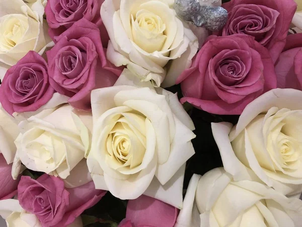 Bir buket gül. Pembe ve beyaz çiçekler. Bahar buketi. Kız arkadaşına hediye et. Bir kadın için çiçek seti. Yapraklı yeşil saplar. Kağıt üzerinde taze çiçekler ve bir vazo. Evdeki bitkiler. Beyaz ve parlak bir oda. Aşıklar günü. Sevgililer Günün kutlu olsun