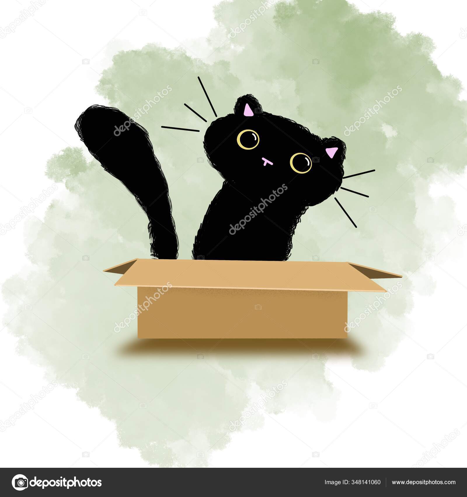 Cats Cardboard Box Kitten Playful Pair Animals Big Eyes Pets Stock Photo Image By C Createsabi