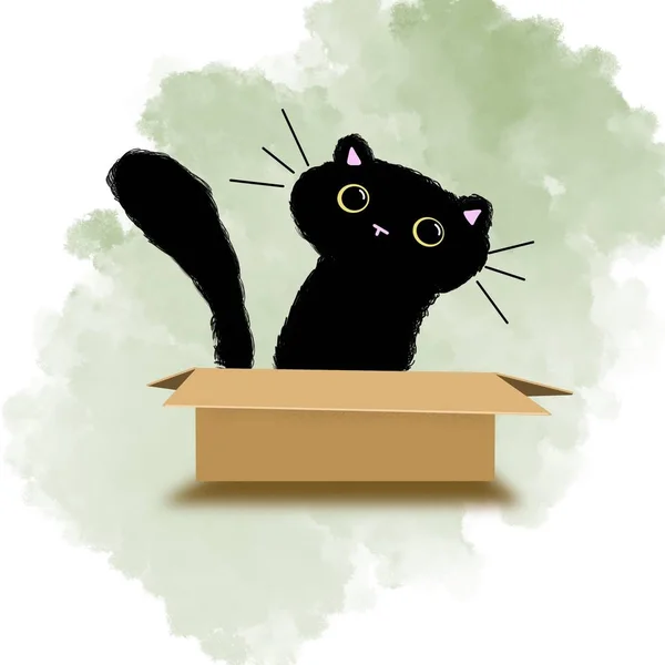Karton kutudaki kediler. Kedi yavrusu şakacıdır. Bir çift hayvan. Büyük gözler. Evcil hayvanlar. Evcil hayvan dükkânı. Çocuk odası. Hayvanat Bahçesi Hayvanat Bahçesi. Dışkı tepsisi. Kedi yavruları buldum. Yün ve kürk. At kuyruğu. Büyük siyah gözler. Pembe burun. Kulaklar yukarıda.. 