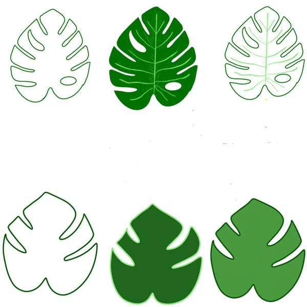 Hojas Dibujo Patrón Verde Bosque Palmeras — Vector de stock